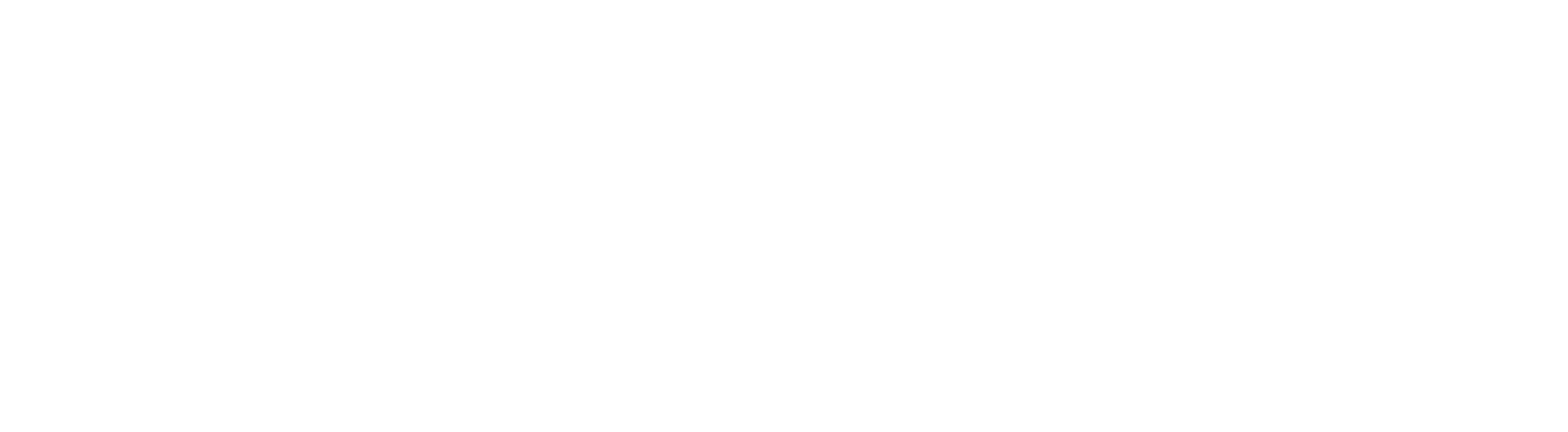 NetzOn - Conexões Inteligentes